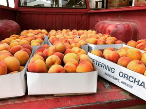 activity-07 activity-07