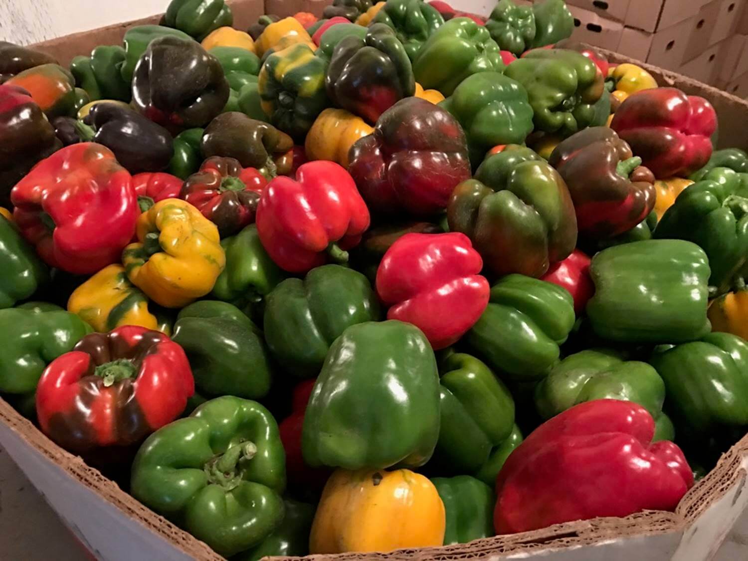 Detering Orchards peppers Vegetables & Other Produce