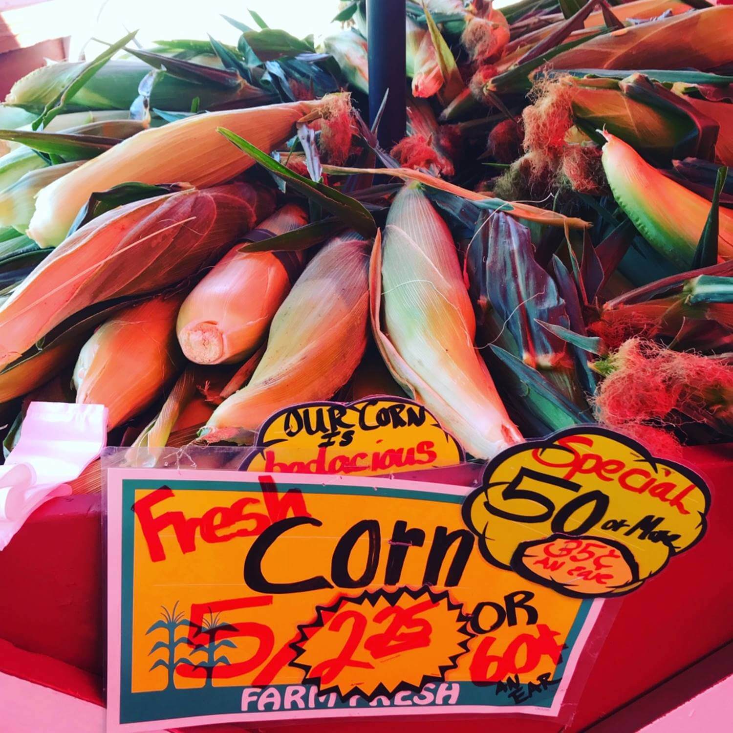 detering-orchards-67 Vegetables & Other Produce