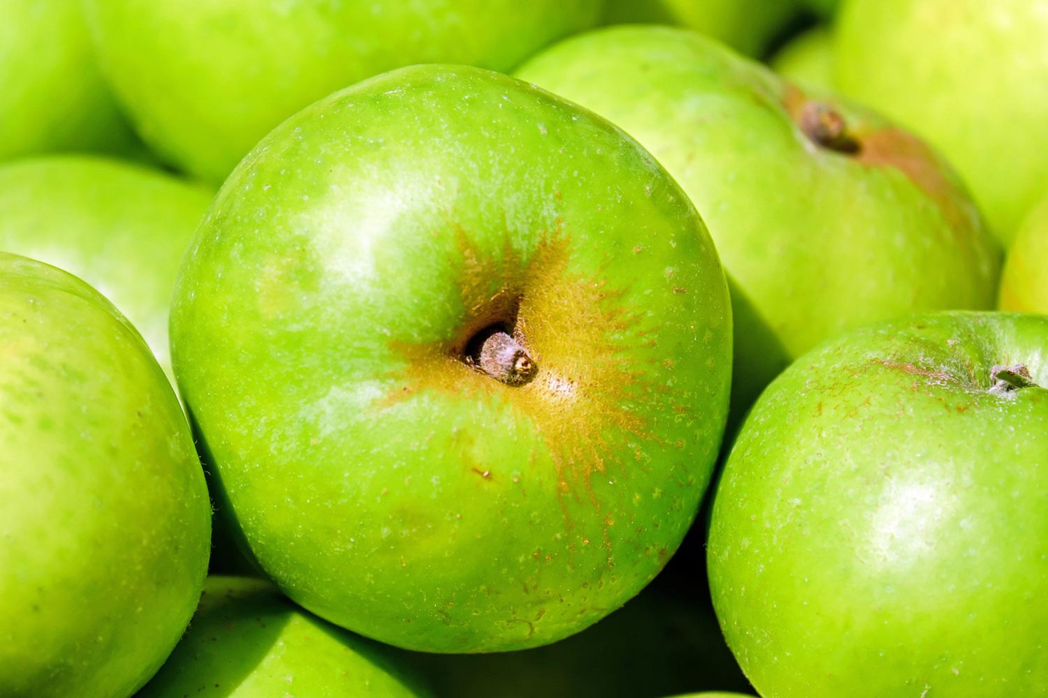 detering-orchards-grannysmith-apple Apples