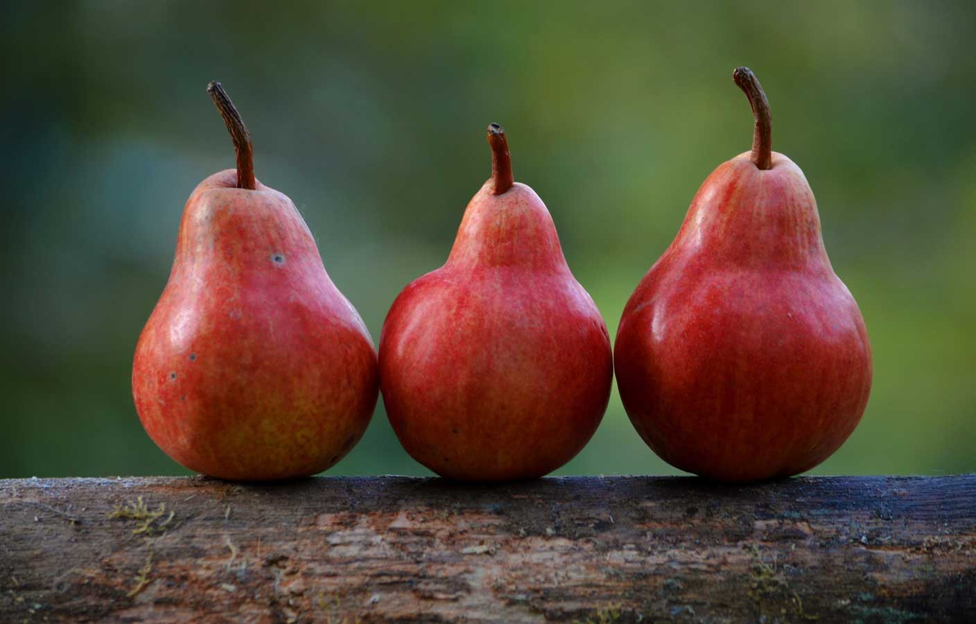 detering-orchards-red-bartlett-pears Pears