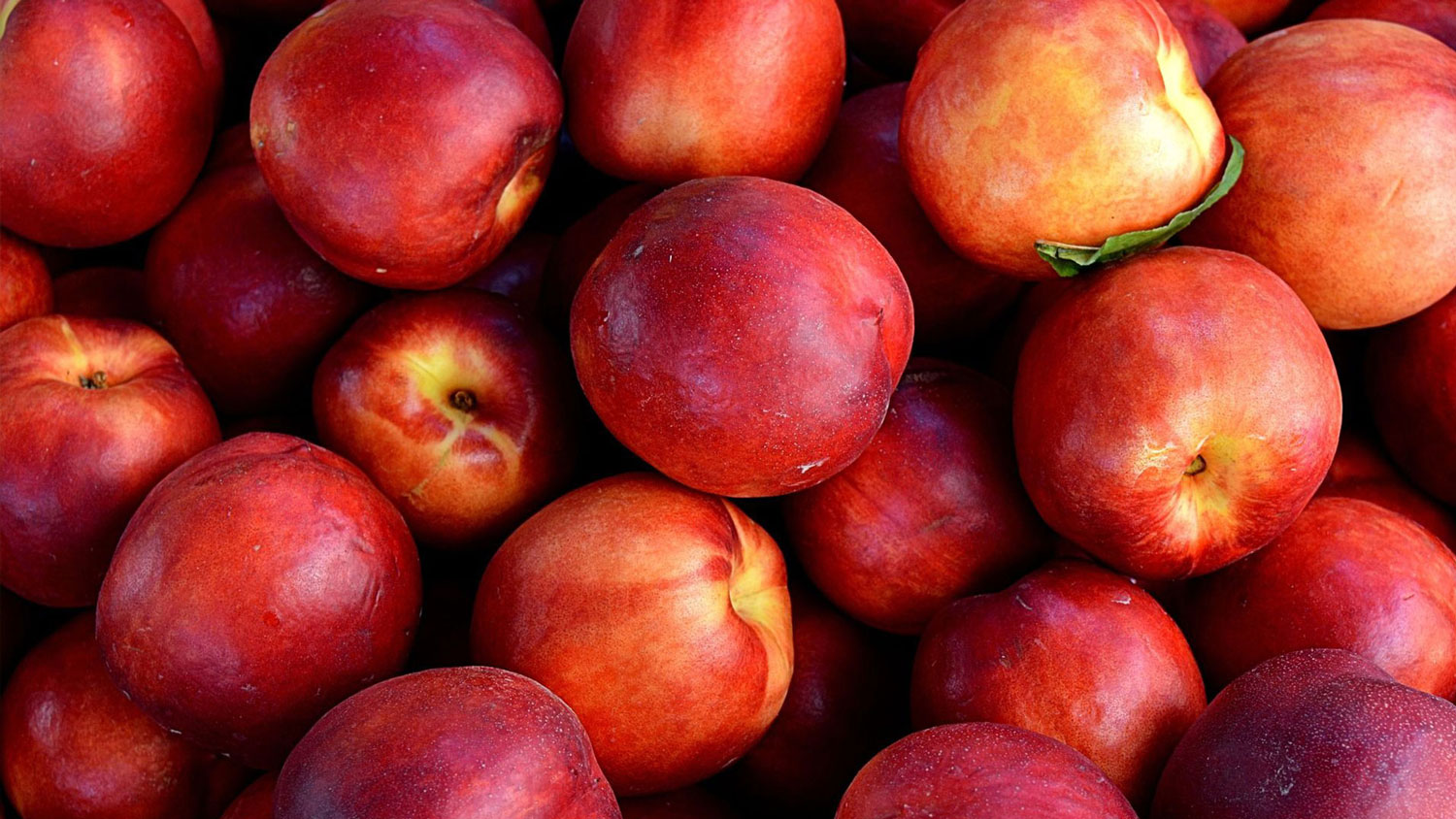 yellow-nectarines-detering-orchards Peaches
