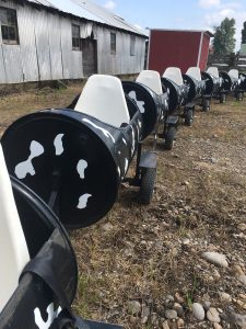 cow-barrel-detering-orchards Other Activities