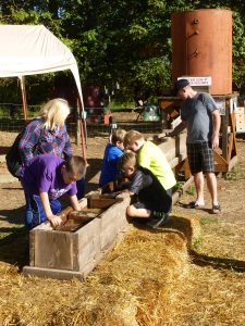 treasure-mining-detering-orchards Other Activities