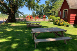 DO-gallery_2553 Detering Orchards | Harrisburg, Oregon -